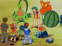 Episode 317: Treecko's New Technique!!  Watmel Field's Bullet Seed!