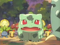 King of the Forbidden Forest! Venusaur!!