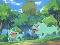 The Pokemon starters Fan Club!