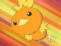 Torchic Clubbie