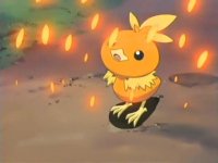 Torchic Clubbie