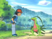 ~^~Rayquaza and Sceptile Fan Club~^~