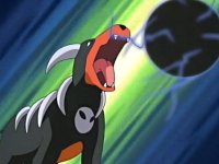 |~Houndour + Houndoom FC~|