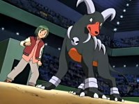 |~Houndour + Houndoom FC~|