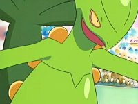 ~^~Rayquaza and Sceptile Fan Club~^~