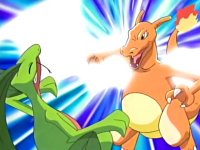 .:Charizard Fan Club:.