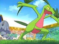 ~^~Rayquaza and Sceptile Fan Club~^~