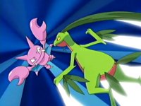 ~^~Rayquaza and Sceptile Fan Club~^~