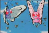 Episode 21: Bye Bye Butterfree!