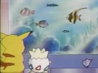 [PokeCommunity.com] What do people eat in Pokemon?