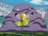 muk rape