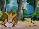 [PokeCommunity.com] ~~altaria and typhlosion fan club~~