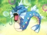 [PokeCommunity.com] gyarados club