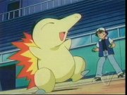 [PokeCommunity.com] ~~altaria and typhlosion fan club~~