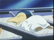 [PokeCommunity.com] ~~altaria and typhlosion fan club~~