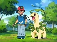 [ABP #6] Bayleef and Charizard!
