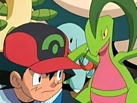 [PokeCommunity.com] Welcome, fellow lizard lovers!