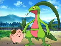 ~^~Rayquaza and Sceptile Fan Club~^~