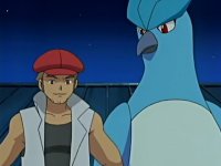 [PokeCommunity.com] ~* Bird Pokemon Fan Club *~