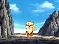 [PokeCommunity.com] ♥~[¤ Growlithe & Arcanine FanClub! ¤]~♥