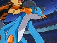 The Swampert and Mewtwo fanclub