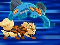 The Swampert and Mewtwo fanclub