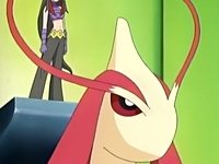 [PokeCommunity.com] ~ Dragonair and Milotic FC ~