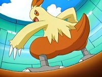 ●♪The Torchic/Combusken/Blaziken Fan Club!♪●