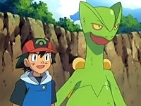 ~^~Rayquaza and Sceptile Fan Club~^~