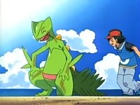 ~^~Rayquaza and Sceptile Fan Club~^~