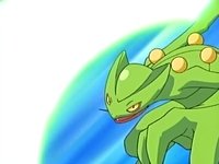 ~^~Rayquaza and Sceptile Fan Club~^~