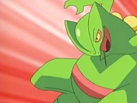 ~^~Rayquaza and Sceptile Fan Club~^~