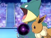 [PokeCommunity.com] It's the Eevee fanclub!!