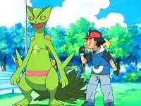 ~^~Rayquaza and Sceptile Fan Club~^~