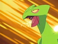 ~^~Rayquaza and Sceptile Fan Club~^~