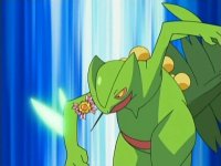 [PokeCommunity.com] Welcome, fellow lizard lovers!