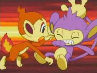 aipom vs chimchar