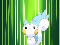 [PokeCommunity.com] [*~ The Pikachu and Pachirisu FanClub! ~*]