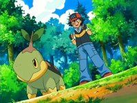 [PokeCommunity.com] The Pokemon starters Fan Club!