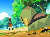 [PokeCommunity.com] The Pokemon starters Fan Club!