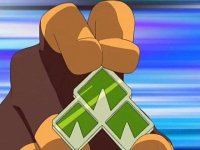 [PokeCommunity.com] Earth Badge question?