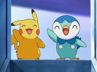 The Pokemon starters Fan Club!