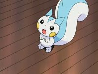 [PokeCommunity.com] [*~ The Pikachu and Pachirisu FanClub! ~*]