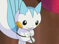 [PokeCommunity.com] [*~ The Pikachu and Pachirisu FanClub! ~*]