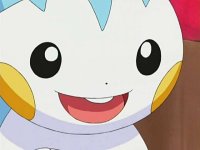 [PokeCommunity.com] [*~ The Pikachu and Pachirisu FanClub! ~*]