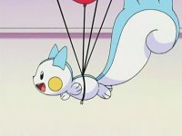[PokeCommunity.com] [*~ The Pikachu and Pachirisu FanClub! ~*]