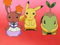 The Pokemon starters Fan Club!