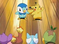 The Pokemon starters Fan Club!