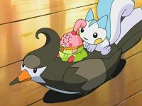 [PokeCommunity.com] [*~ The Pikachu and Pachirisu FanClub! ~*]