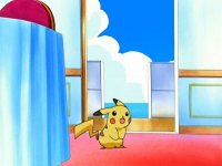 [*~ The Pikachu and Pachirisu FanClub! ~*]